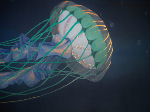 Oceanic | Jellyfish Mural