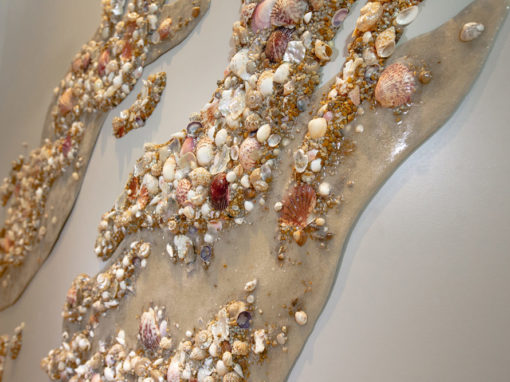 Oceanic | Seashell Wall Texture