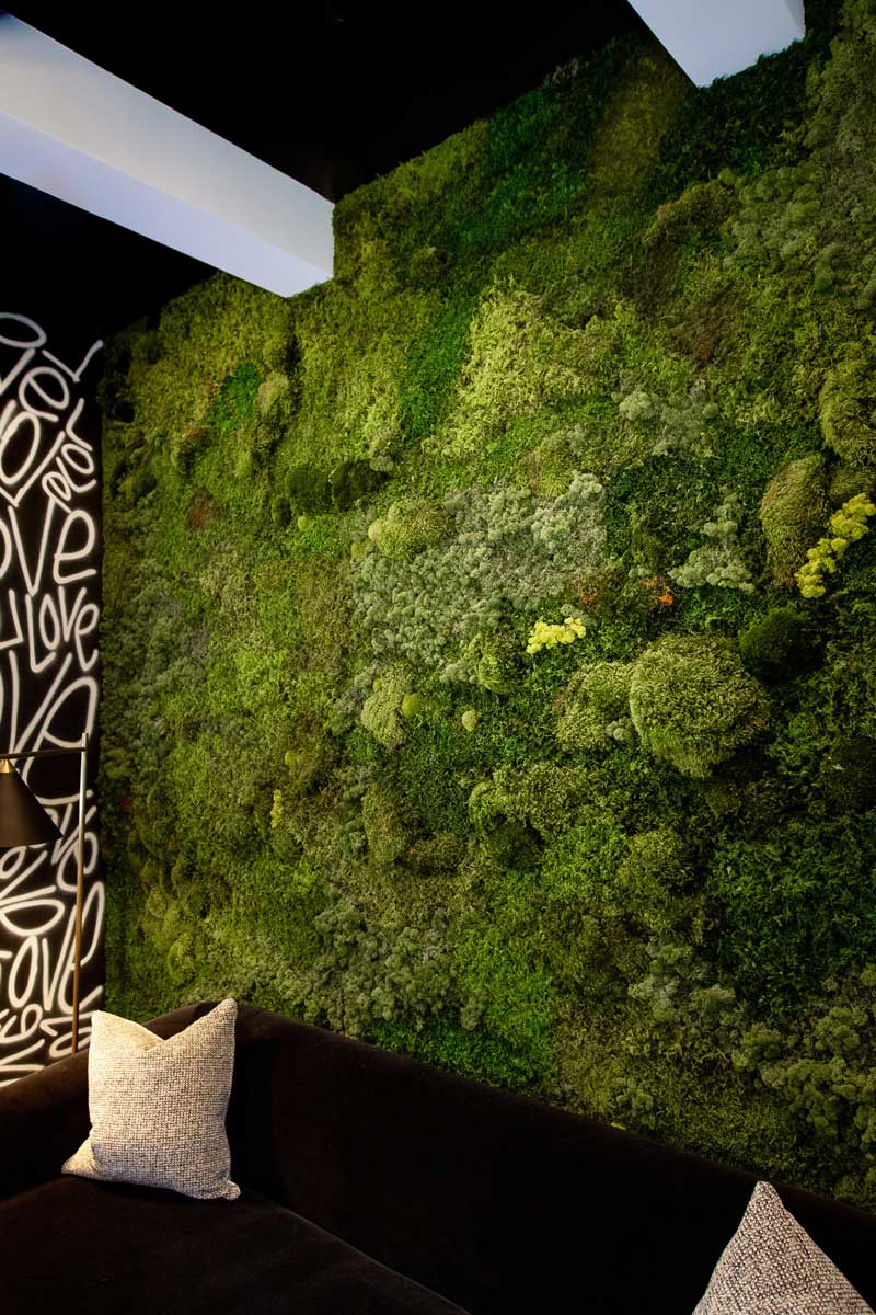 Moss Wall Texture Art Installation